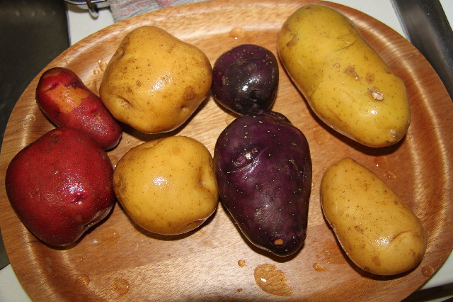 ファイル 2523-3.jpg