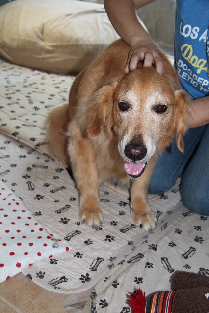 ファイル 2524-2.jpg