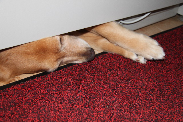 ファイル 2524-4.jpg