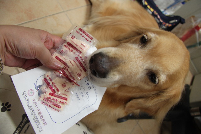 ファイル 2524-5.jpg