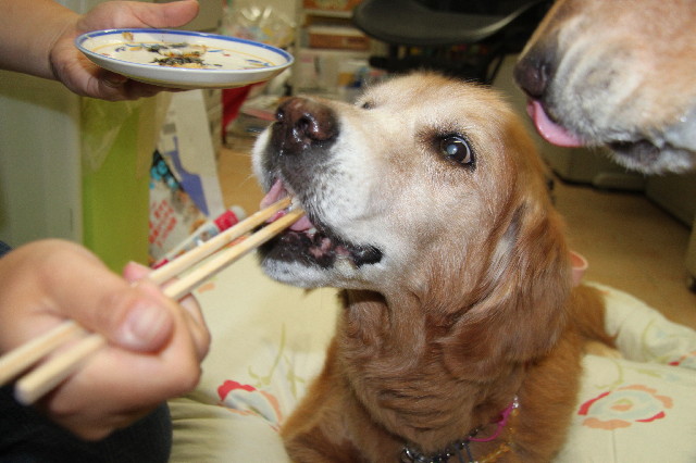 ファイル 2527-5.jpg