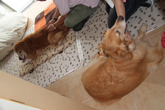 ファイル 2529-1.jpg