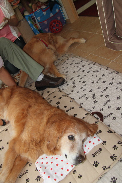 ファイル 2529-2.jpg