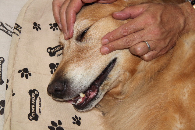 ファイル 2529-5.jpg