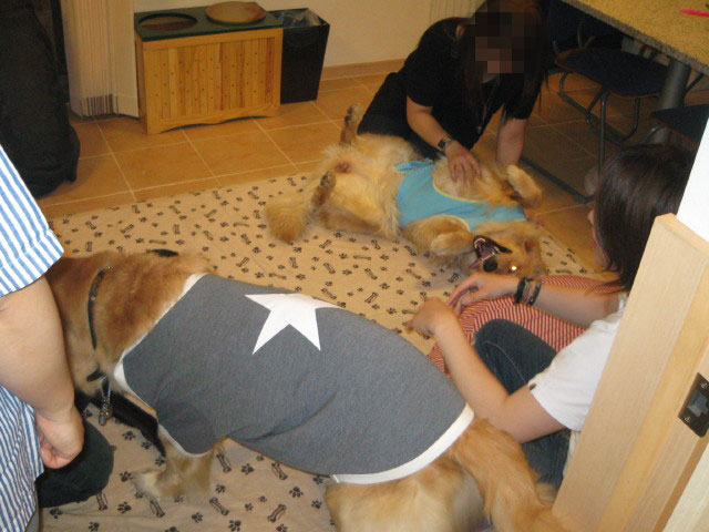 ファイル 253-1.jpg