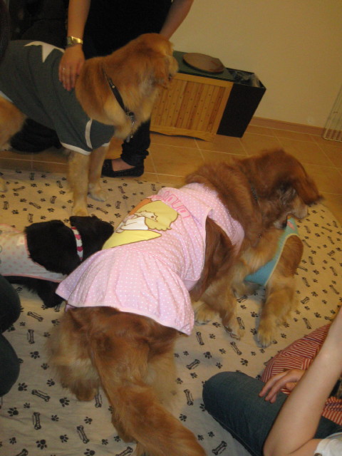 ファイル 253-2.jpg