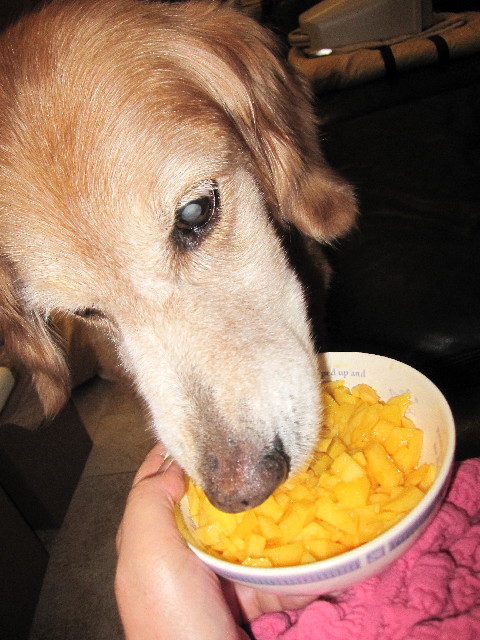 ファイル 2530-3.jpg