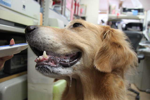 ファイル 2530-5.jpg