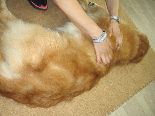 ファイル 2533-1.jpg