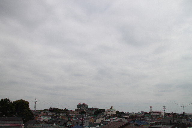 ファイル 2537-1.jpg