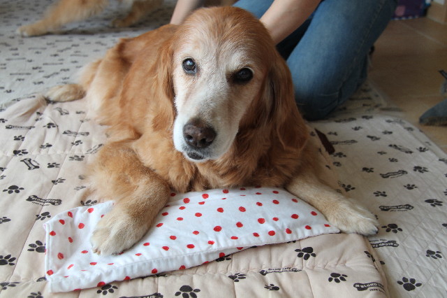 ファイル 2537-2.jpg