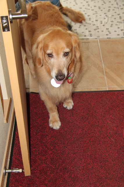 ファイル 2537-3.jpg