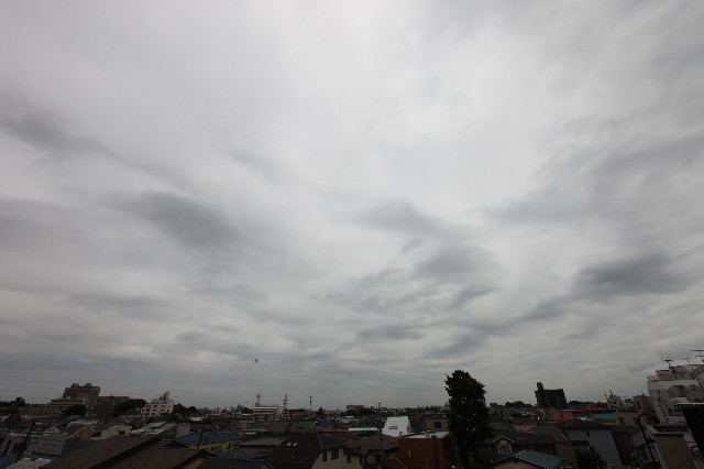 ファイル 2538-1.jpg