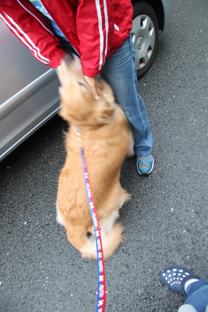 ファイル 2538-3.jpg