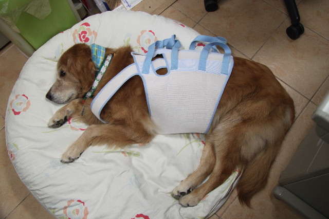 ファイル 2538-4.jpg