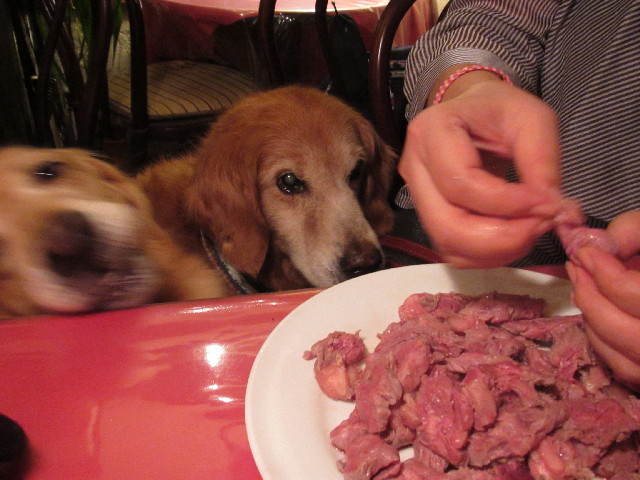 ファイル 2540-2.jpg