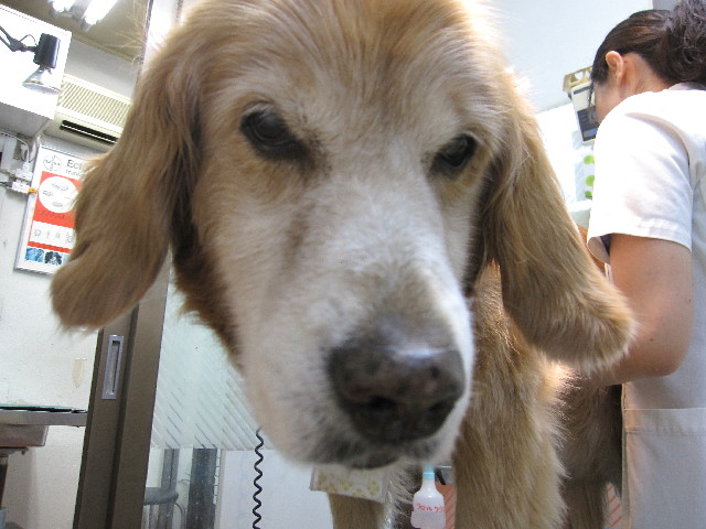 ファイル 2543-2.jpg