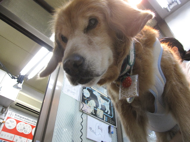 ファイル 2543-4.jpg