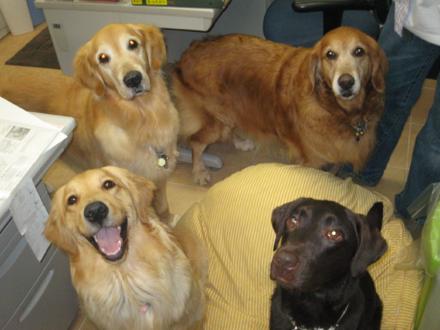 ファイル 255-2.jpg