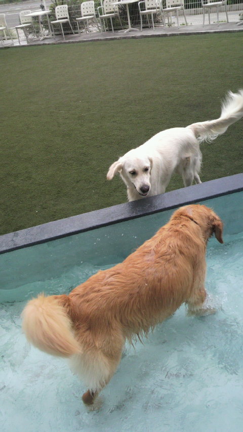 ファイル 2552-4.jpg