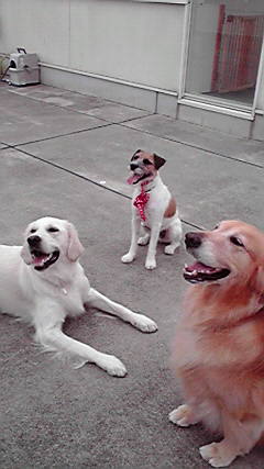 ファイル 2552-5.jpg