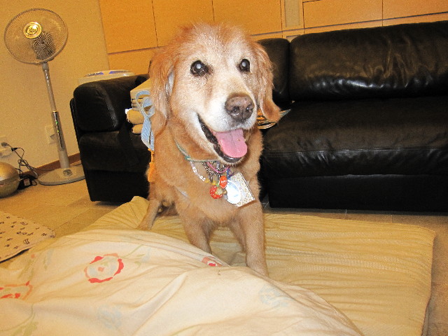 ファイル 2554-1.jpg