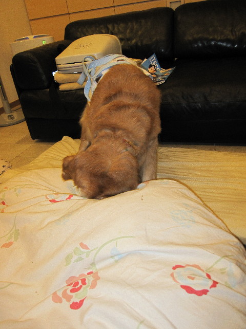 ファイル 2554-4.jpg