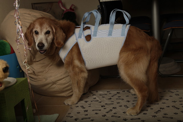 ファイル 2554-5.jpg