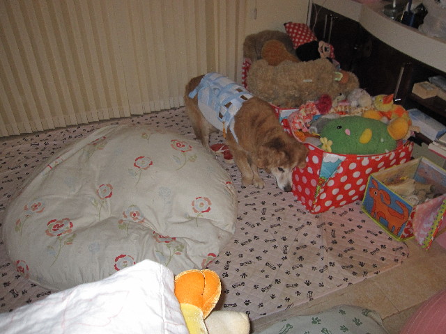 ファイル 2555-4.jpg