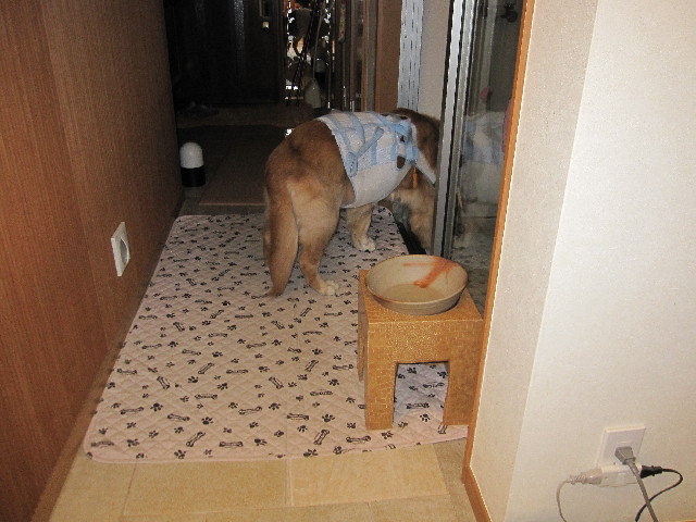 ファイル 2555-5.jpg