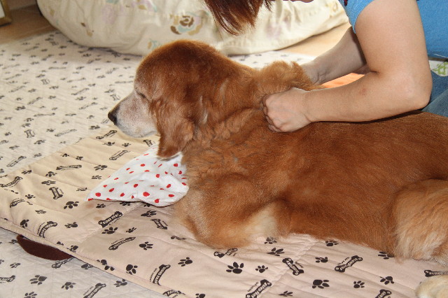 ファイル 2556-2.jpg