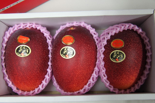 ファイル 2557-2.jpg