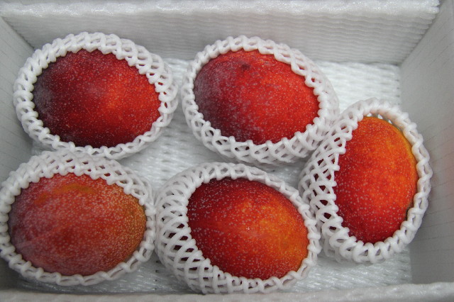 ファイル 2557-3.jpg