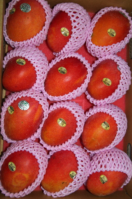 ファイル 2557-4.jpg