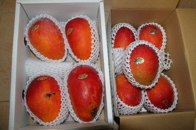 ファイル 2557-5.jpg