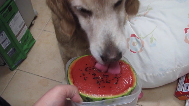 ファイル 2559-2.jpg