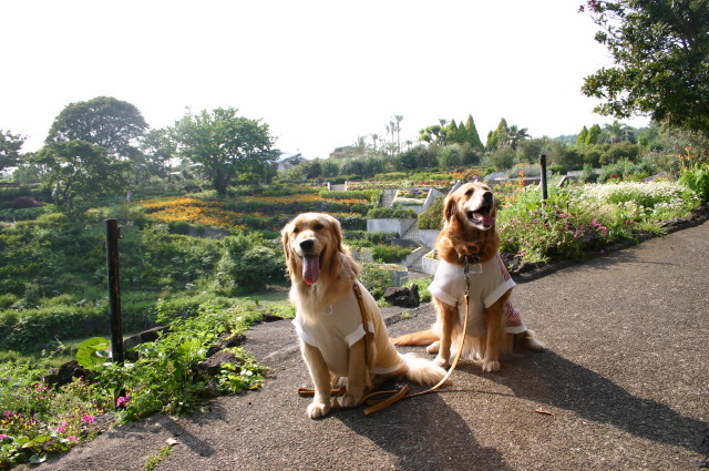 ファイル 256-1.jpg