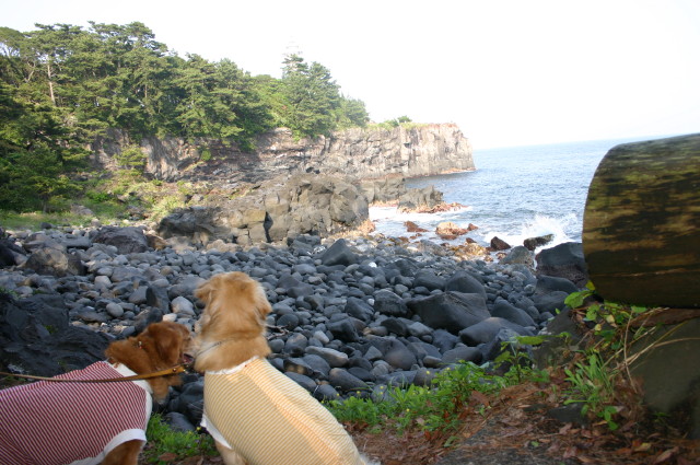 ファイル 256-5.jpg