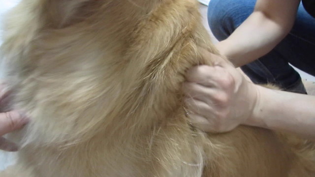 ファイル 2562-3.jpg