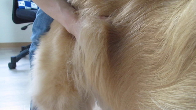 ファイル 2562-4.jpg