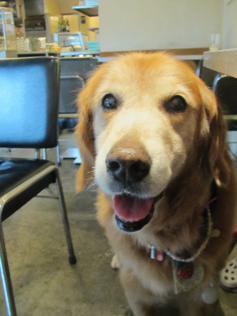 ファイル 2563-1.jpg