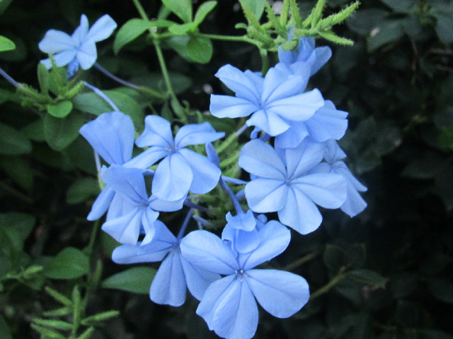 ファイル 2563-4.jpg