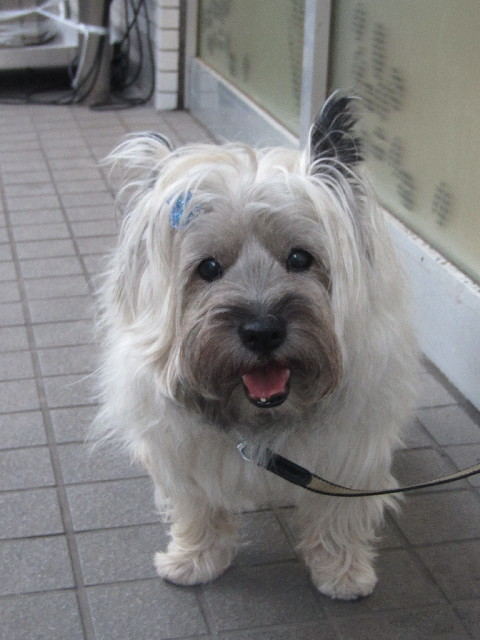 ファイル 2563-5.jpg