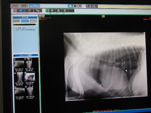 ファイル 2566-4.jpg