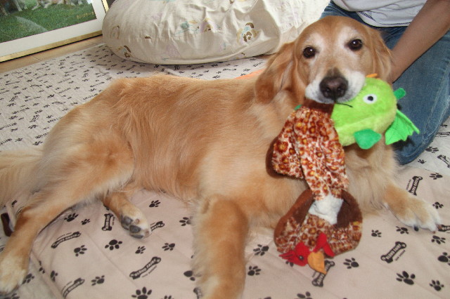 ファイル 2567-2.jpg