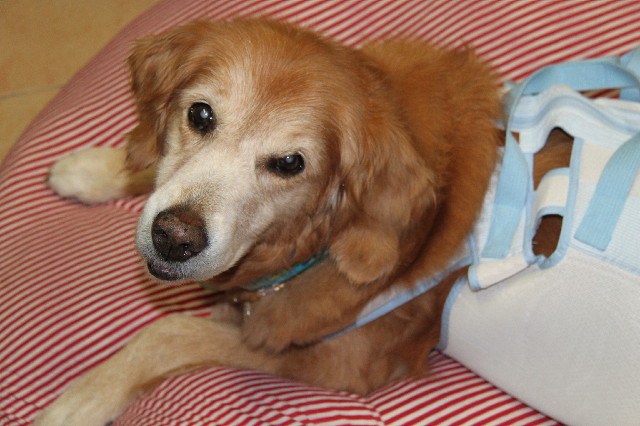 ファイル 2570-3.jpg