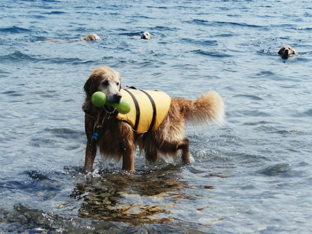 ファイル 2571-5.jpg