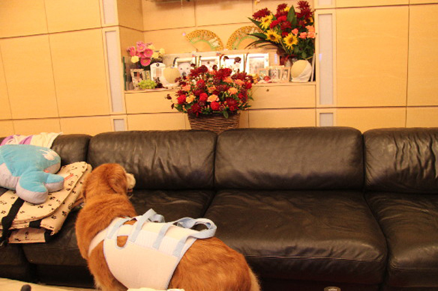 ファイル 2572-1.jpg