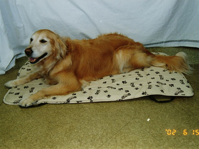 ファイル 2573-1.jpg