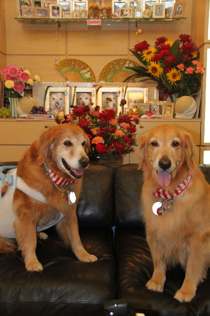 ファイル 2573-2.jpg